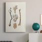 Knorr Shells & Coral V Premium Gallery Wrapped Canvas - Ready to Hang