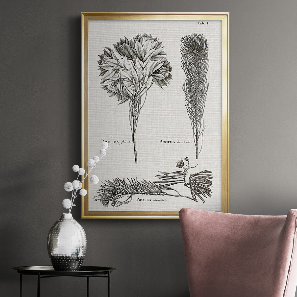 Black & White Protea on Linen I - Modern Framed Canvas Print