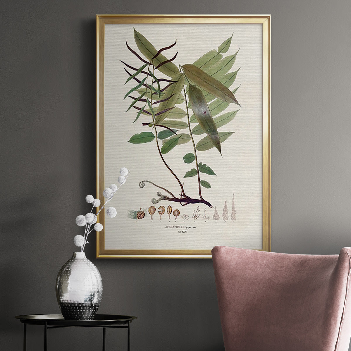 Botanical Society Ferns VI - Modern Framed Canvas Print