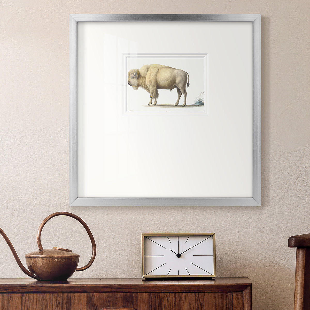 White Buffalo Premium Framed Print Double Matboard