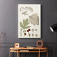 Leaves & Berries II - Canvas Art Print