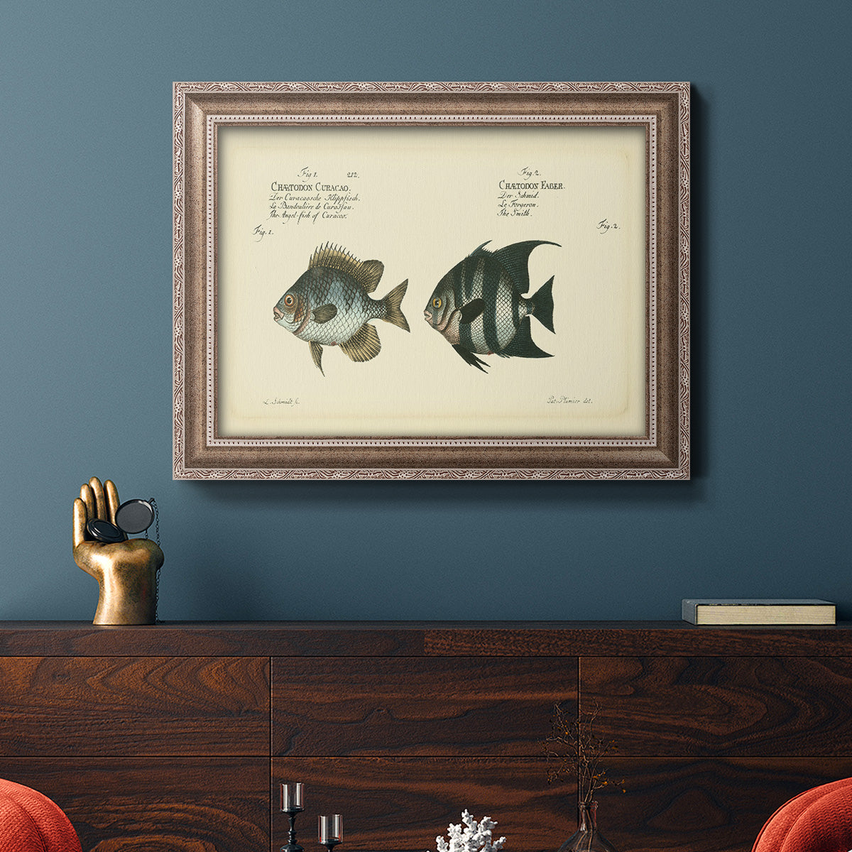 Bloch Antique Fish II Premium Framed Canvas- Ready to Hang