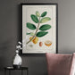 Turpin Tropical Botanicals V - Modern Framed Canvas Print