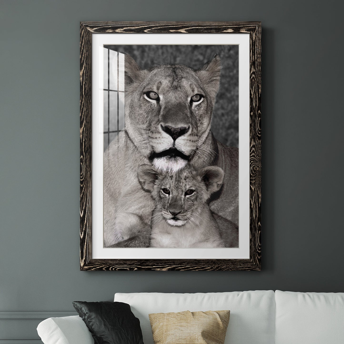 Lioness and Cub - Premium Framed Print - Distressed Barnwood Frame - Ready to Hang