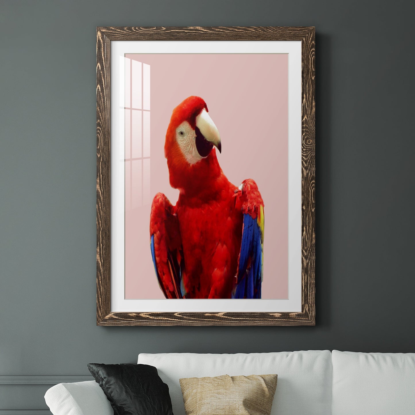 Honduras Wildlife - Premium Framed Print - Distressed Barnwood Frame - Ready to Hang