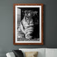 Tiger Repose - Premium Framed Print - Distressed Barnwood Frame - Ready to Hang