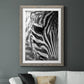 Zebra Colt - Premium Framed Print - Distressed Barnwood Frame - Ready to Hang