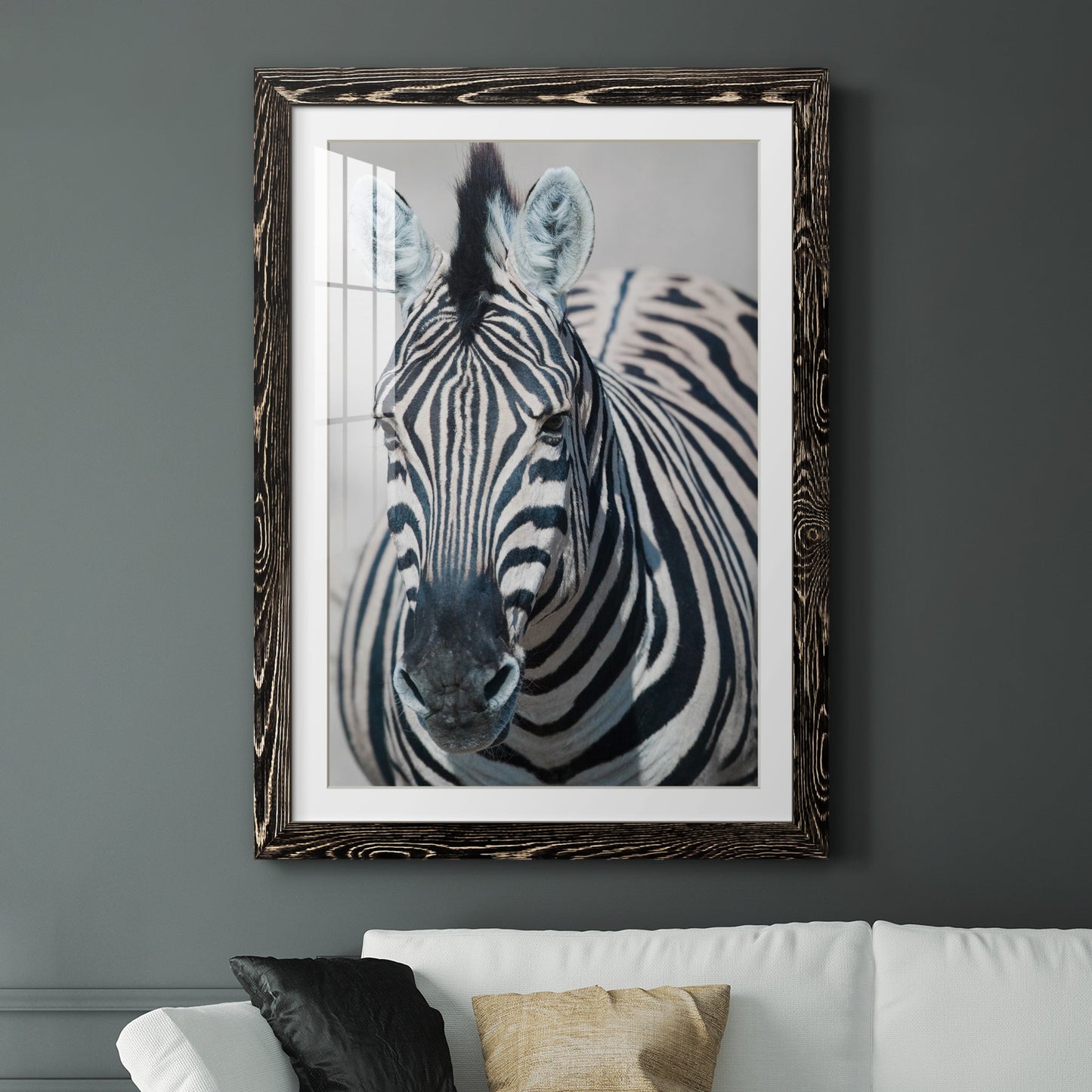 Namibia Zebra - Premium Framed Print - Distressed Barnwood Frame - Ready to Hang