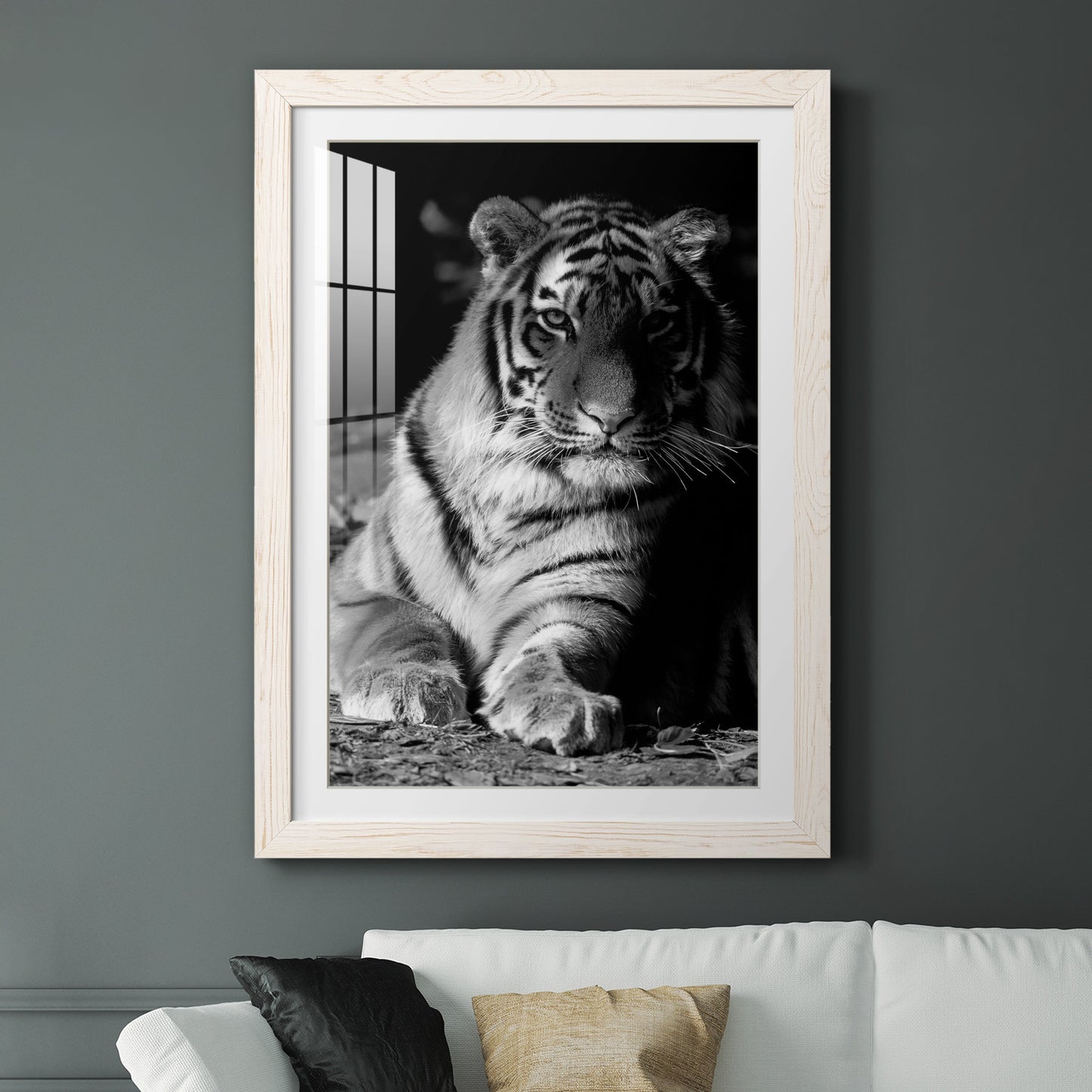 Tiger Repose - Premium Framed Print - Distressed Barnwood Frame - Ready to Hang