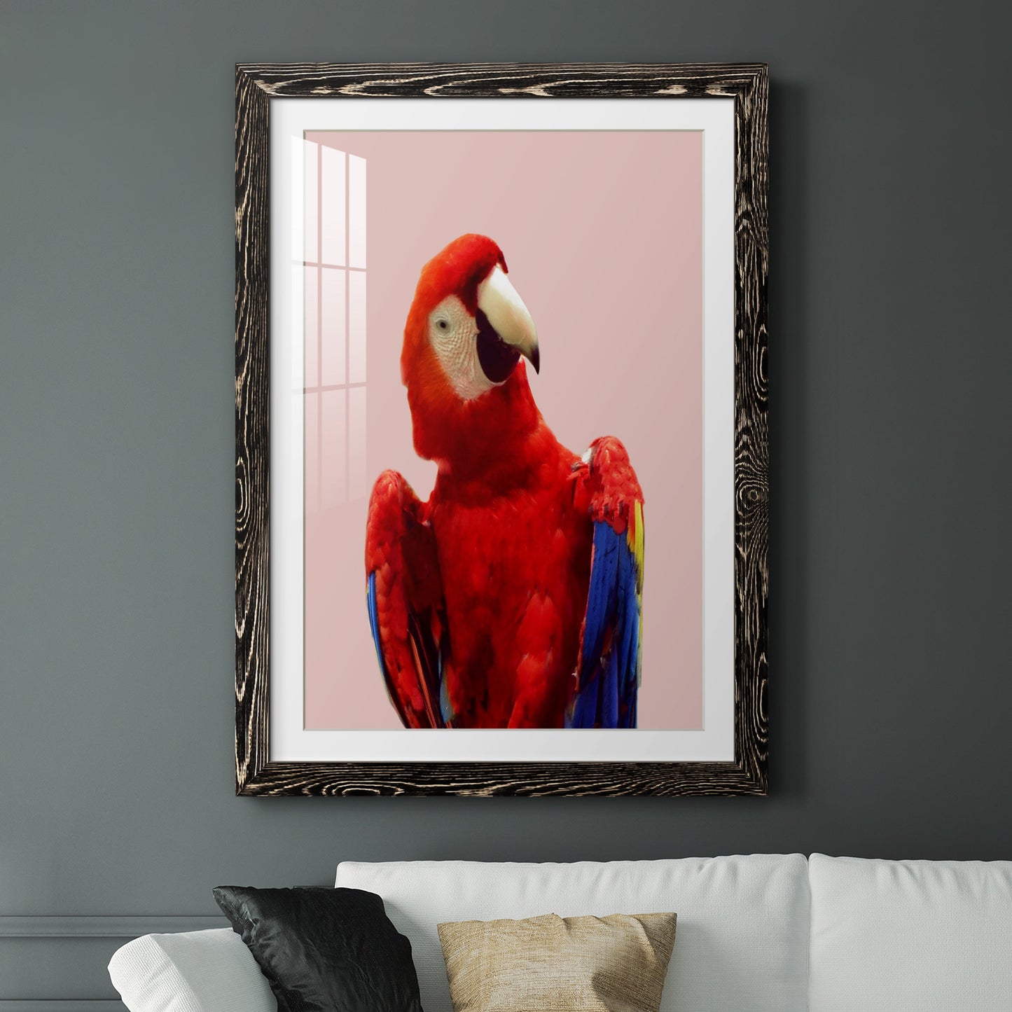 Honduras Wildlife - Premium Framed Print - Distressed Barnwood Frame - Ready to Hang