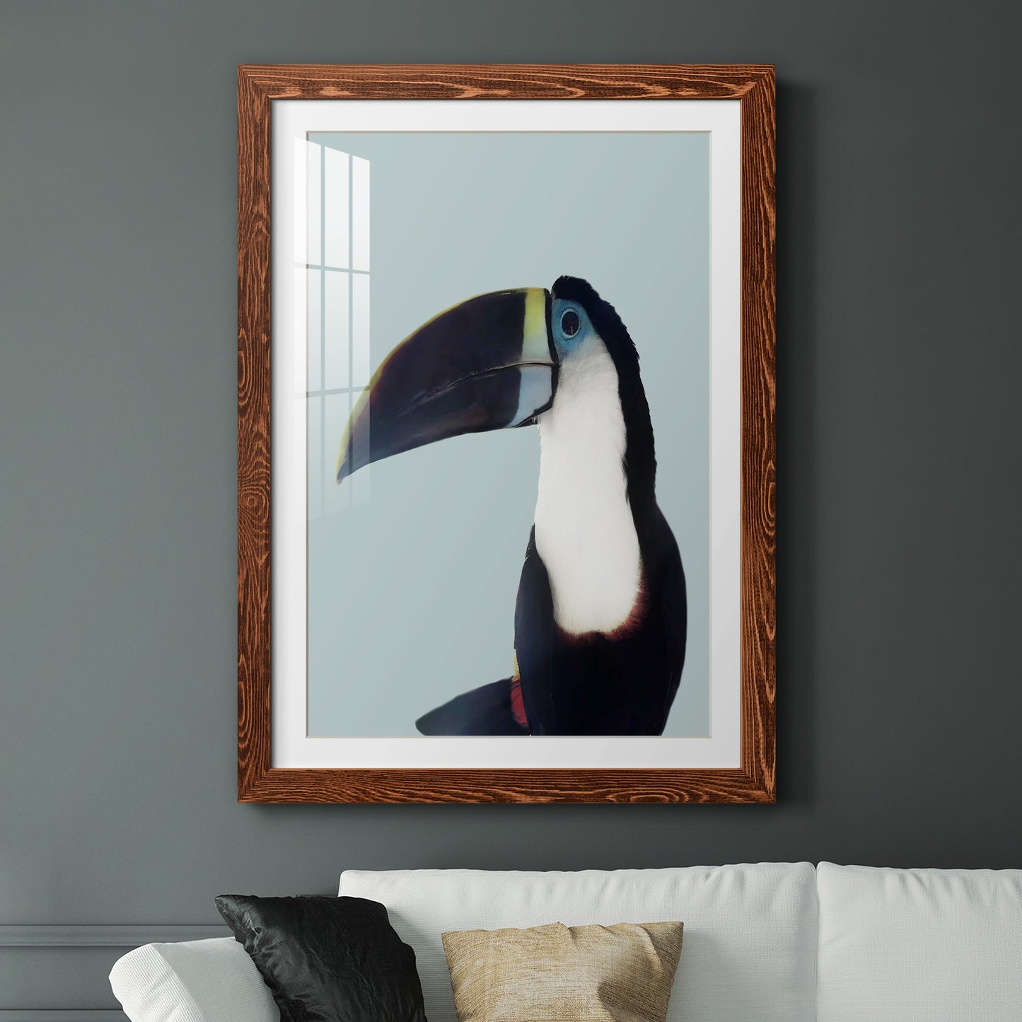 Aruba Wildlife - Premium Framed Print - Distressed Barnwood Frame - Ready to Hang