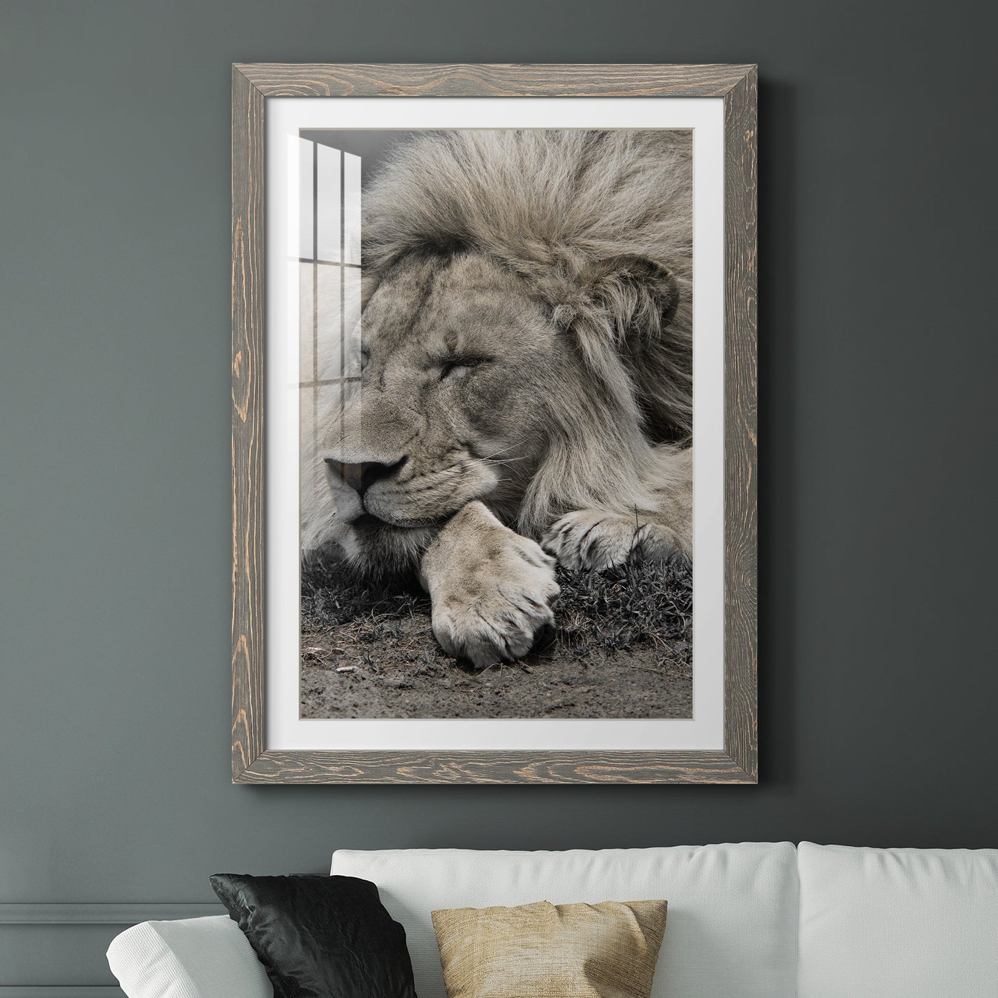 Sleepy Afternoon in Masai Mara - Premium Framed Print - Distressed Barnwood Frame - Ready to Hang