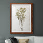 Farmhouse Pressed Flower II - Barnwood Framed Art Print