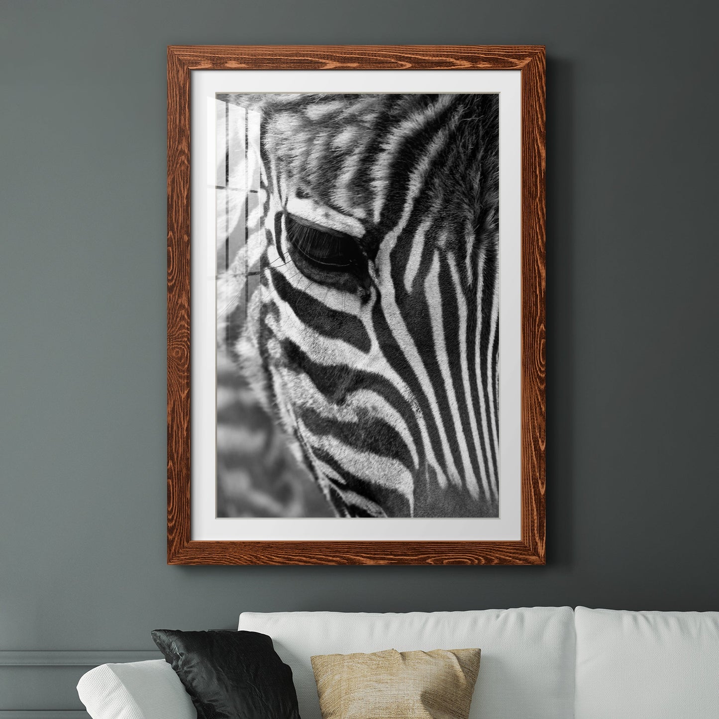 Zebra Colt - Premium Framed Print - Distressed Barnwood Frame - Ready to Hang