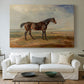 Canvas art print detailing an animal study of racehorse with coastal setting, centered above a sofa as a large focal wall piece