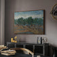 Olive Trees, 1889 - Floater Framed Canvas Print