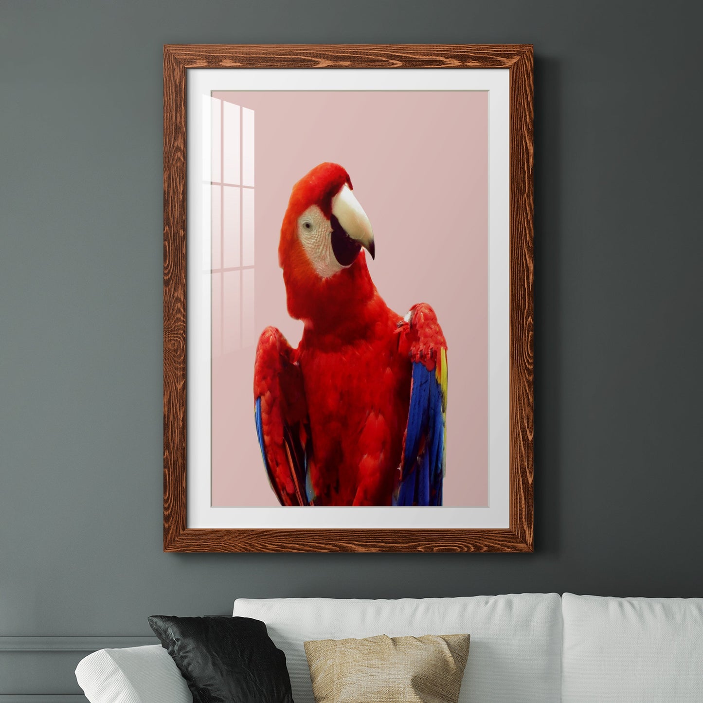 Honduras Wildlife - Premium Framed Print - Distressed Barnwood Frame - Ready to Hang