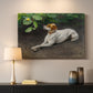 Canvas art print detailing a calm scene of dog reclining in open landscape, mounted in a softly lit interior space