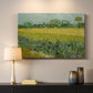Canvas art print detailing a stylized composition emphasizing color and pattern, mounted in a softly lit interior space
