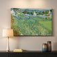 Canvas art print detailing a stylized vineyard landscape with depth, mounted in a softly lit interior space