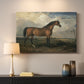 Canvas art print detailing an animal study of stallion in outdoor setting, mounted in a softly lit interior space
