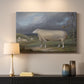 Canvas art print detailing a farm animal study in open landscape, mounted in a softly lit interior space
