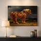 Canvas art print detailing an animal study of horse in broad rural setting, mounted in a softly lit interior space