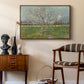 Orchard in Blossom (Plum Trees), 1888 - Floater Framed Canvas Print