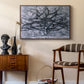 The Gray Tree, 1911 - Floater Framed Canvas Print