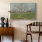Orchard in Blossom (Plum Trees), 1888 - Floater Framed Canvas Print