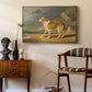 Rough-Coated Collie, 1809 - Floater Framed Canvas Print