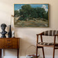 Fontainebleau: Oak Trees at Bas-Bréau, c. 1830-1835 - Floater Framed Canvas Print