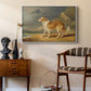 Rough-Coated Collie, 1809 - Floater Framed Canvas Print