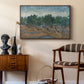 Olive Trees, 1889 - Floater Framed Canvas Print