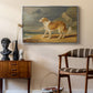 Rough-Coated Collie, 1809 - Floater Framed Canvas Print