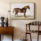A Cart-Horse - Floater Framed Canvas Print