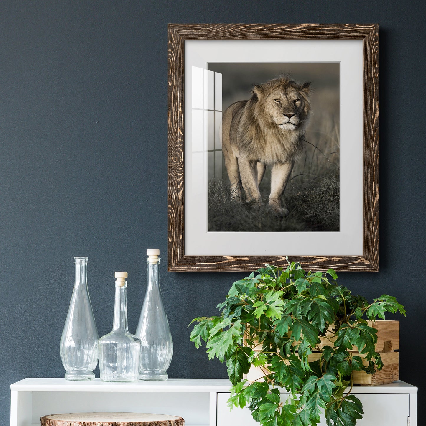 Morning Walk in Masai Mara - Premium Framed Print - Distressed Barnwood Frame - Ready to Hang