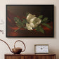 Magnolia on Red Velvet, c. 1885-1890 - Floater Framed Canvas Print