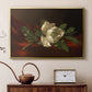 Magnolia on Red Velvet, c. 1885-1890 - Floater Framed Canvas Print