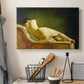 Canvas art print detailing an interior scene focusing on single resting figure, displayed in a softly lit workspace setting