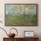 The Pink Orchard, 1888 - Floater Framed Canvas Print