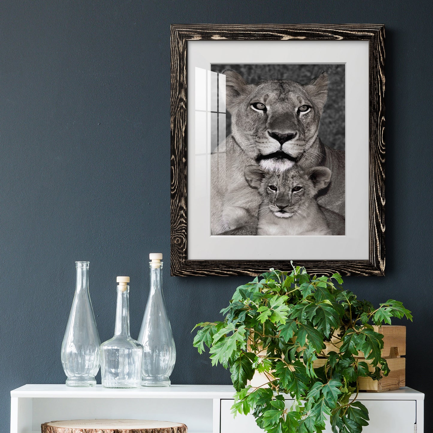 Lioness and Cub - Premium Framed Print - Distressed Barnwood Frame - Ready to Hang