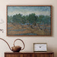 Olive Trees, 1889 - Floater Framed Canvas Print