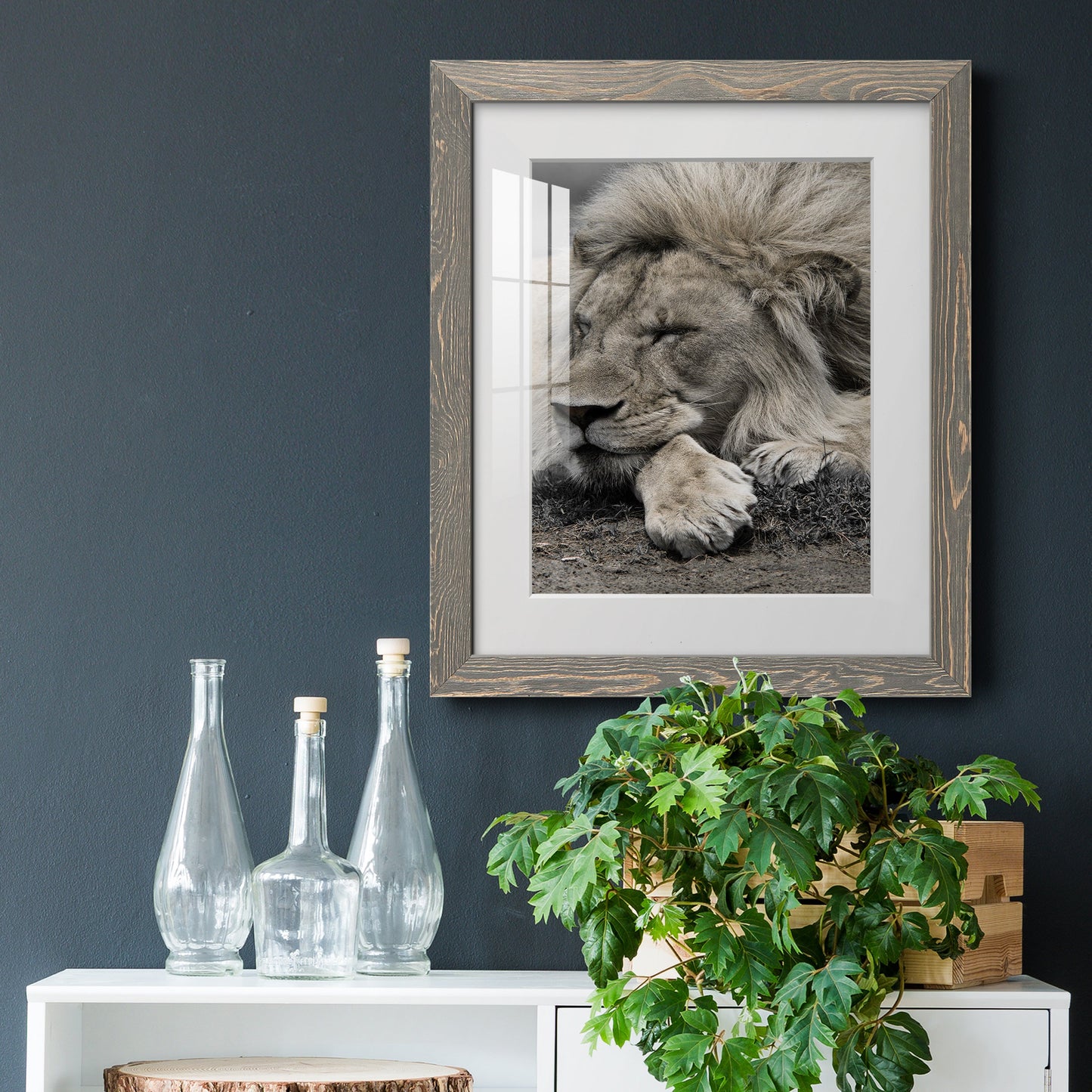 Sleepy Afternoon in Masai Mara - Premium Framed Print - Distressed Barnwood Frame - Ready to Hang