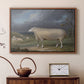 A Border Leicester Ewe, c. 1795-1800 - Floater Framed Canvas Print