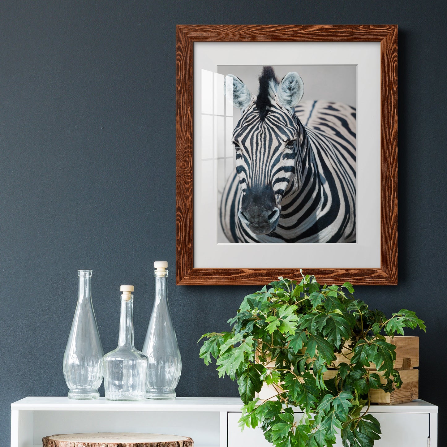 Namibia Zebra - Premium Framed Print - Distressed Barnwood Frame - Ready to Hang