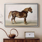 A Cart-Horse - Floater Framed Canvas Print