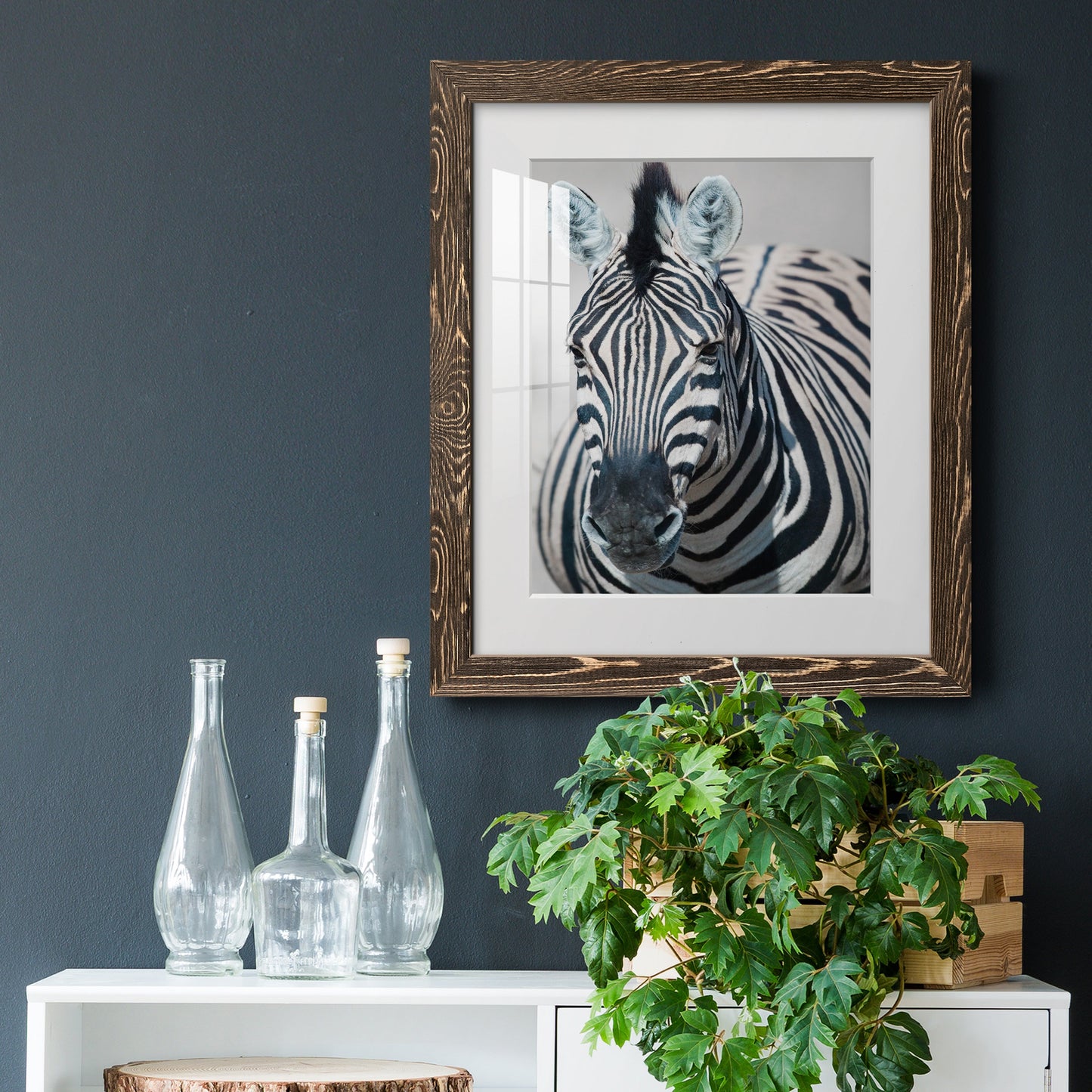 Namibia Zebra - Premium Framed Print - Distressed Barnwood Frame - Ready to Hang