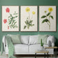 Flowers of the Seasons X - Framed Premium Gallery Wrapped Canvas L Frame 3 Piece Set - Ready to Hang