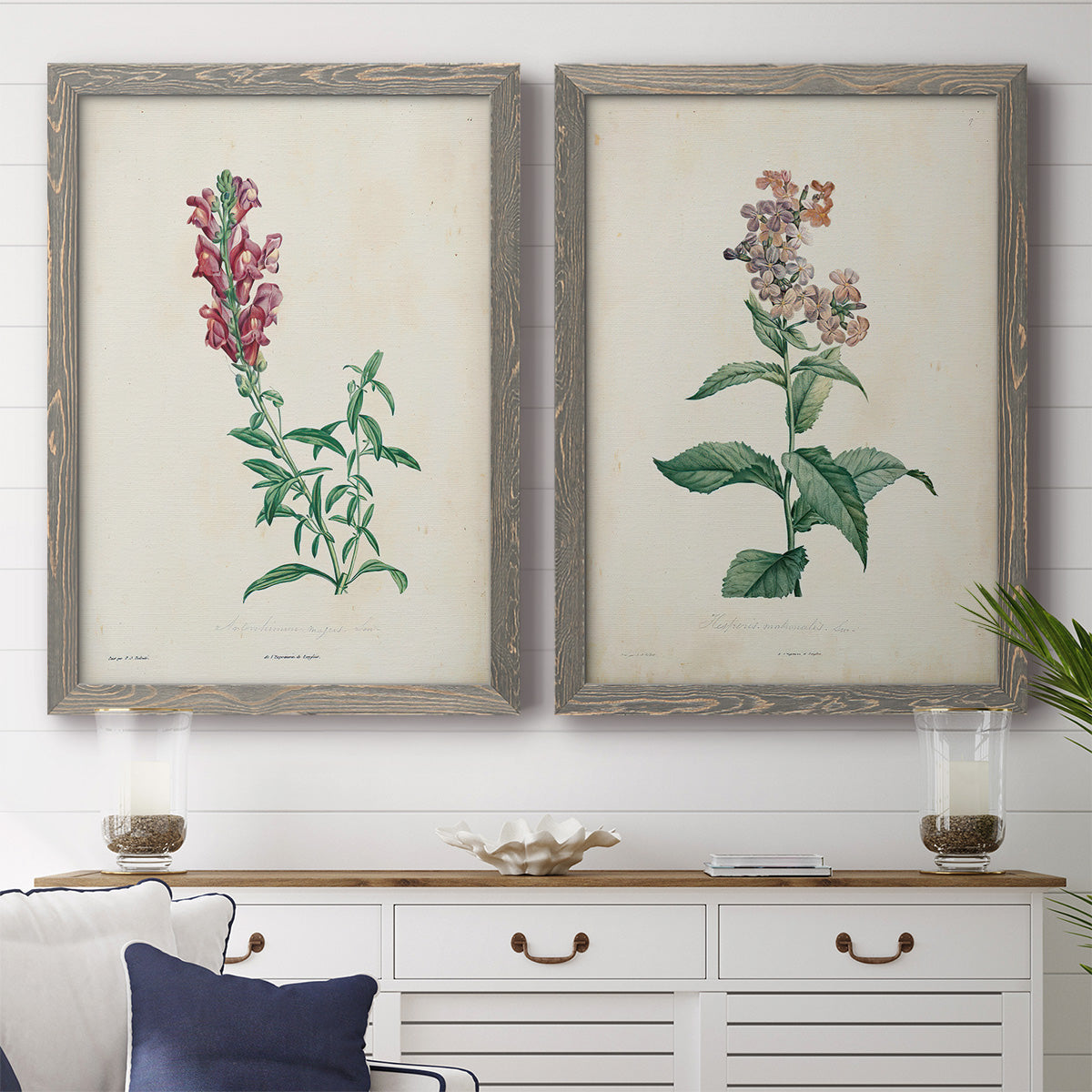 Set of two gray barnwood framed canvas prints depicting antique floral illustrations featuring a tall red bloom and a clustered mauve flower above a dining room sideboard.